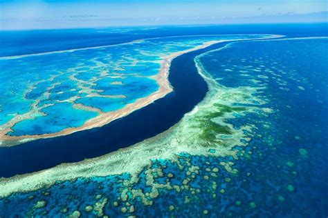 Avustralya büyük set resifi